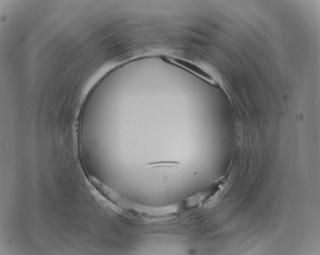 X0000073721151200608311813