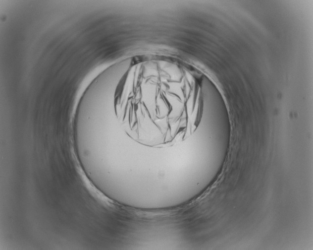 X0000073721152200608311813