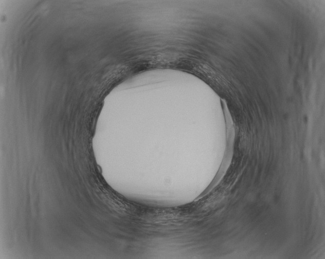 X0000073721153200608311812