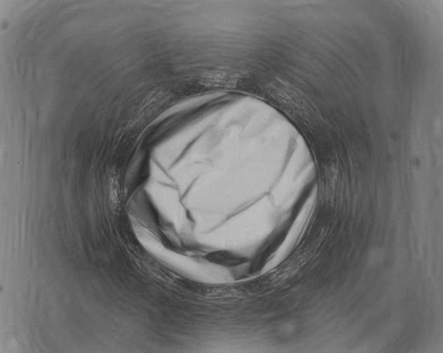 X0000073721154200608311812