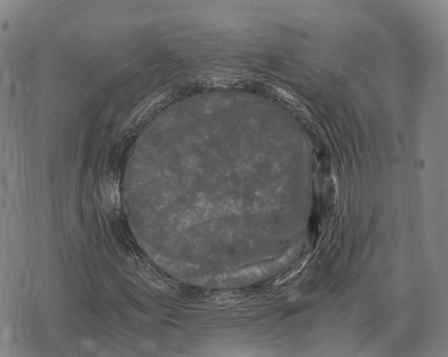 X0000073721155200608311812