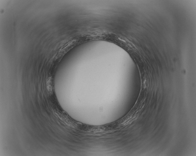 X0000073721156200608311812