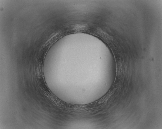 X0000073721158200608311812