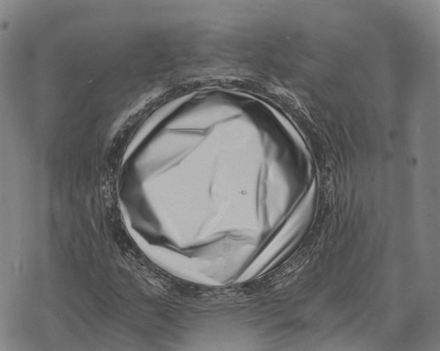 X0000073721159200608311812