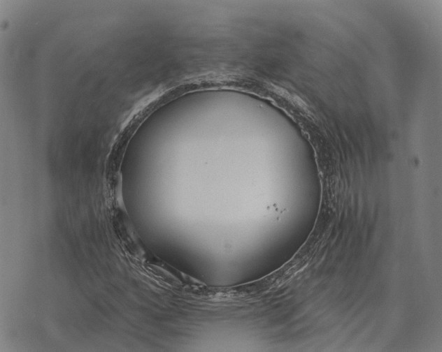 X0000073721160200608311812