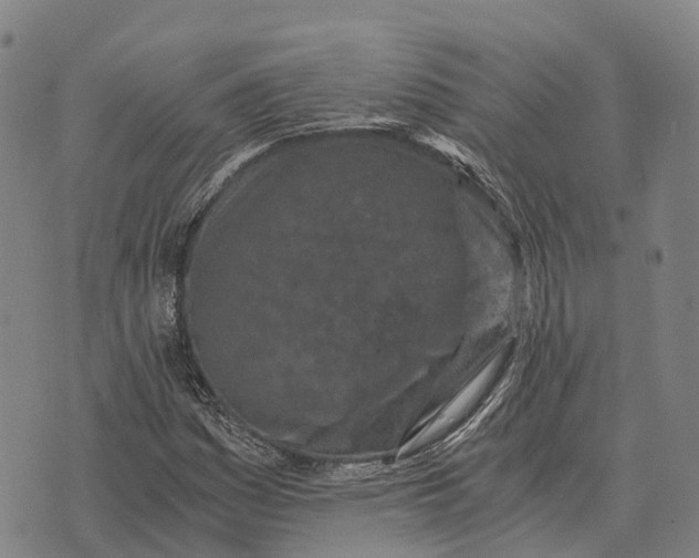 X0000073721161200608311812