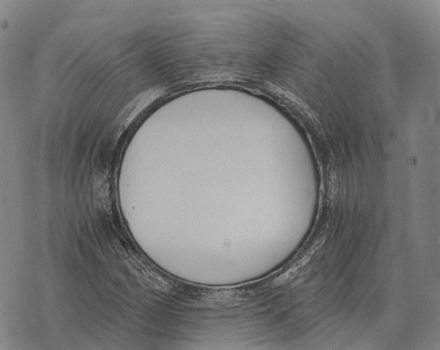 X0000073721162200608311812