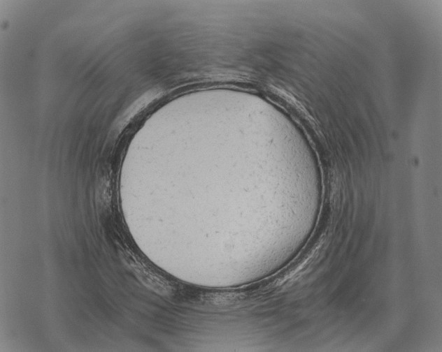 X0000073721163200608311812