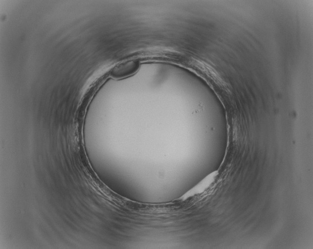 X0000073721164200608311812