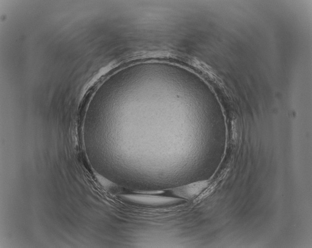 X0000073721165200608311812