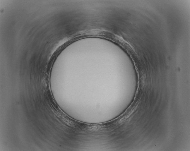 X0000073721166200608311812