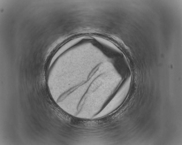 X0000073721167200608311812