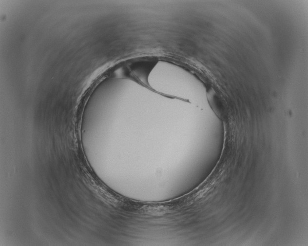 X0000073721168200608311812