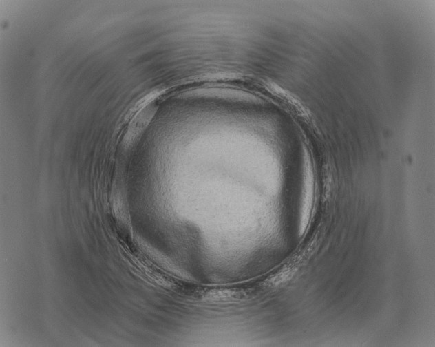 X0000073721169200608311812