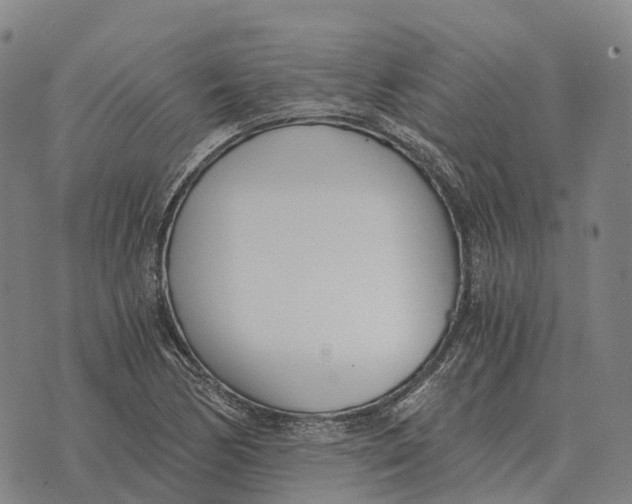 X0000073721170200608311812