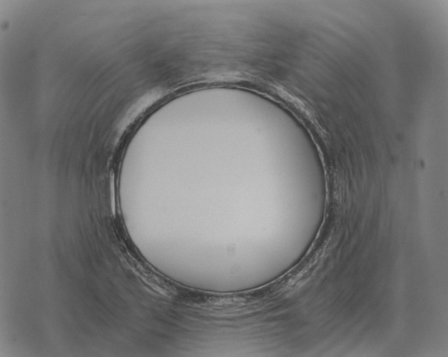 X0000073721171200608311812