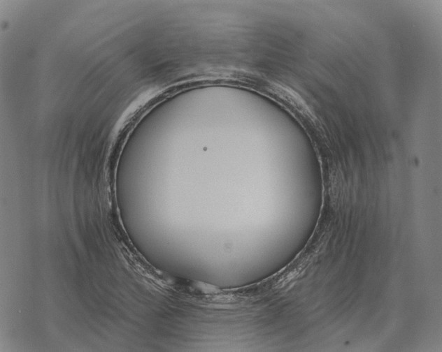 X0000073721172200608311812