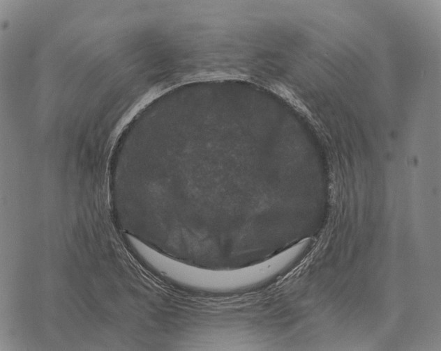 X0000073721173200608311812