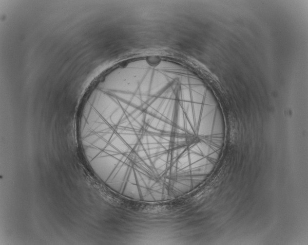 X0000073721174200608311812