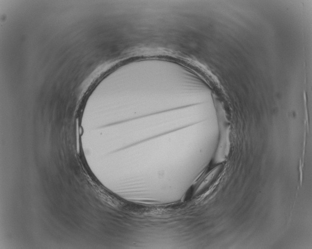 X0000073721175200608311812