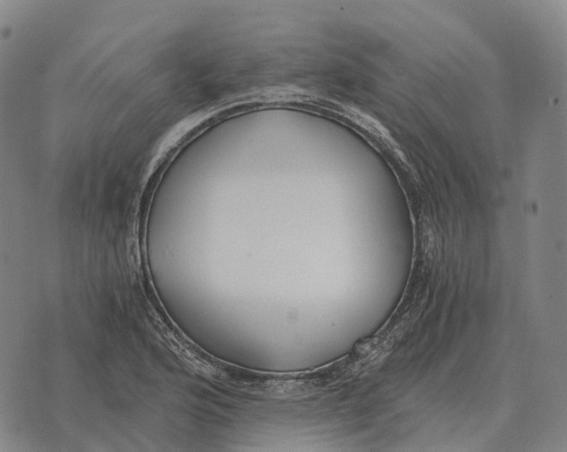 X0000073721176200608311812