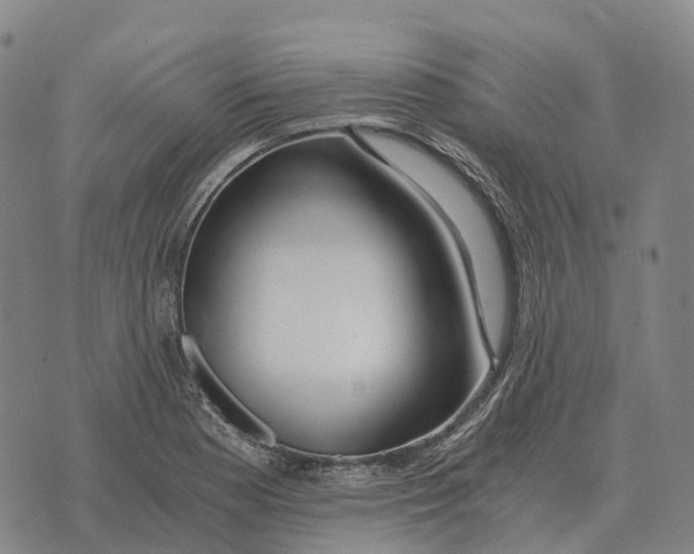 X0000073721177200608311812