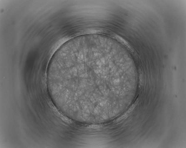 X0000073721178200608311812