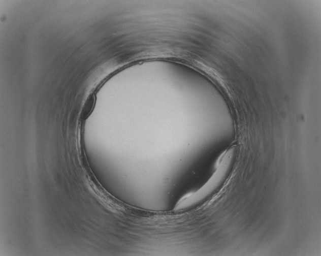 X0000073721179200608311812