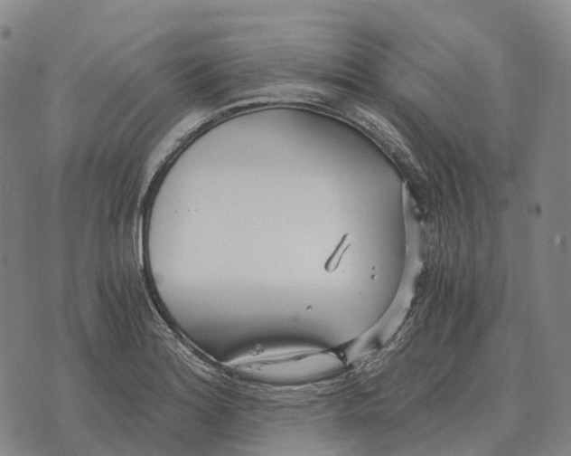 X0000073721180200608311812