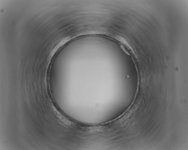 X0000073721181200608311812