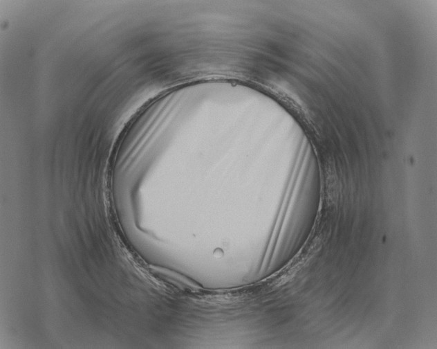 X0000073721182200608311812