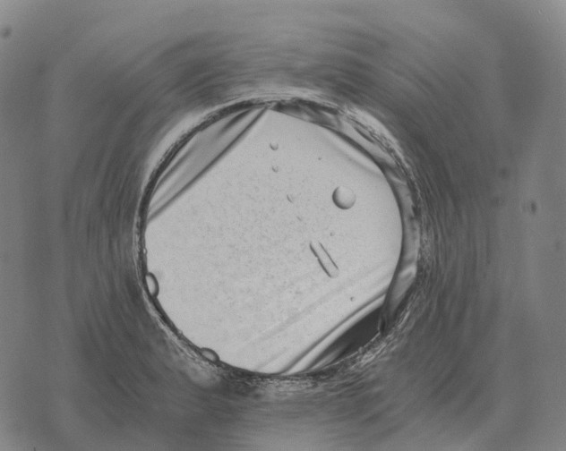 X0000073721183200608311812