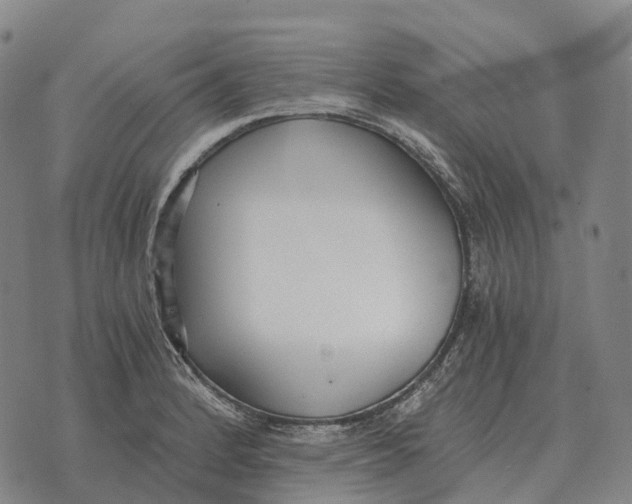 X0000073721184200608311812