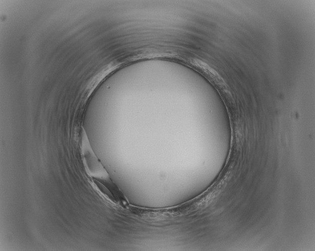 X0000073721185200608311812