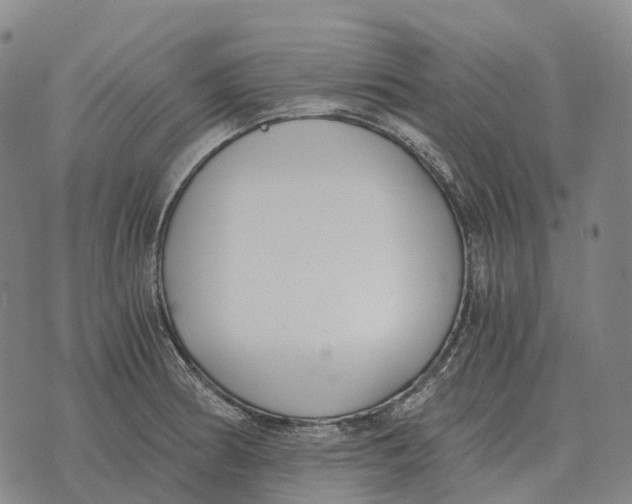 X0000073721186200608311812