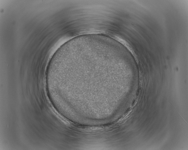 X0000073721187200608311812