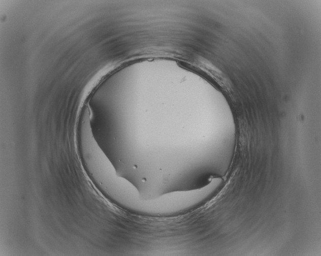 X0000073721188200608311812