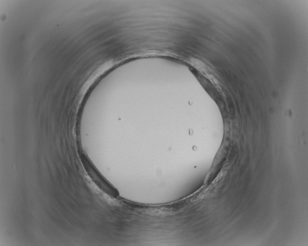 X0000073721189200608311812