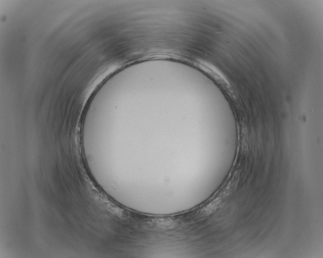 X0000073721190200608311812