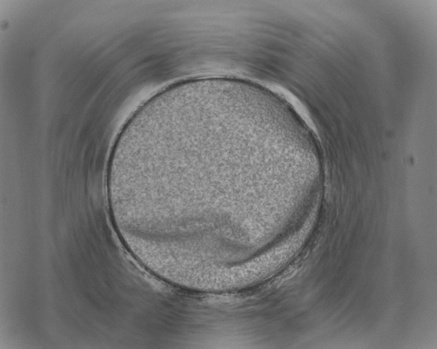 X0000073721191200608311812