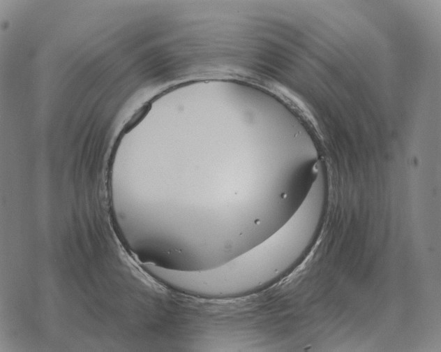 X0000073721192200608311812