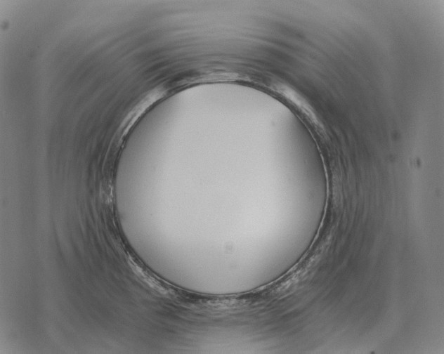 X0000073721193200608311812