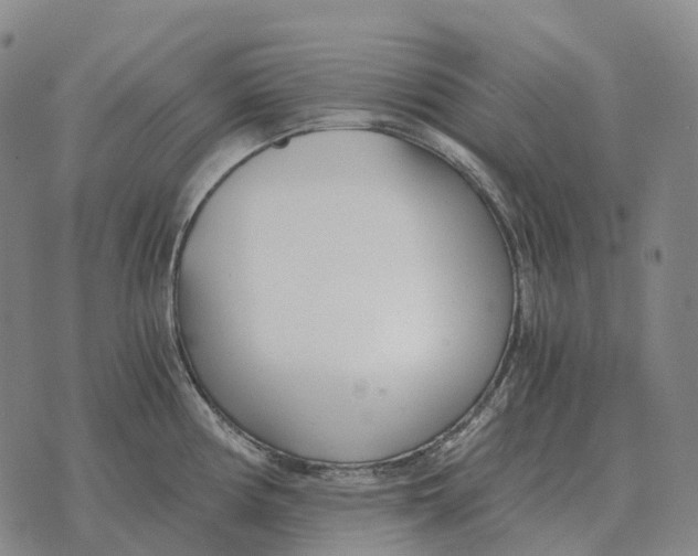 X0000073721194200608311812