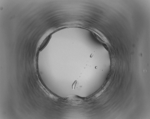 X0000073721196200608311812