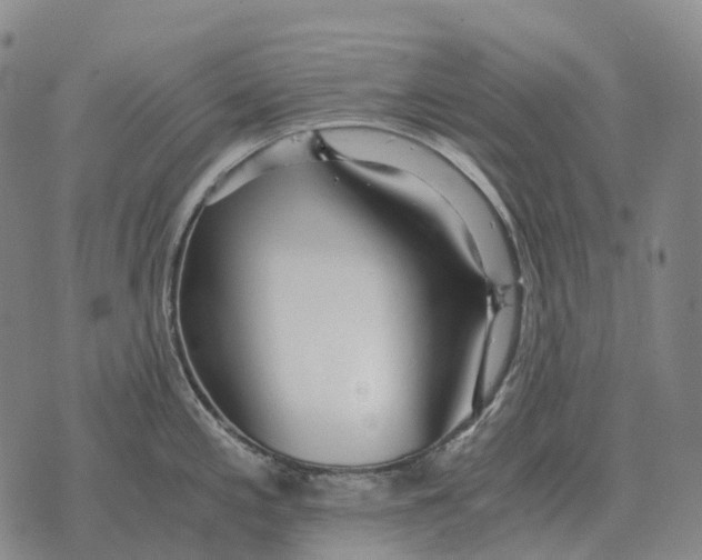 X0000073721197200608311812