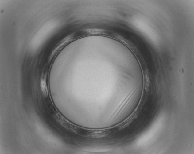 X0000073721198200608311812