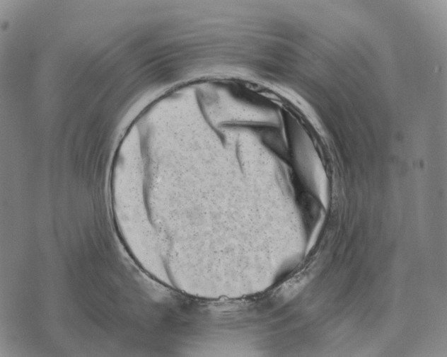 X0000073721199200608311812