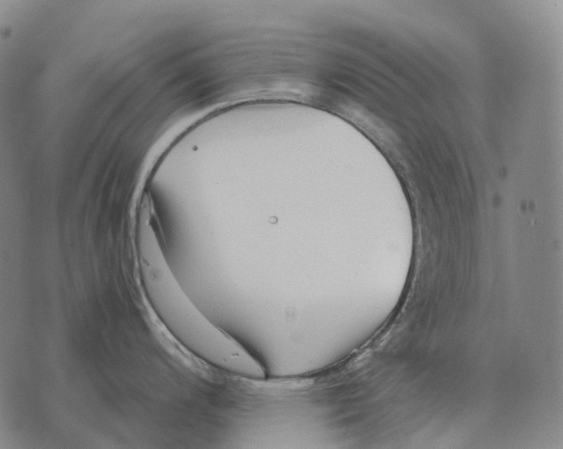 X0000073721200200608311812