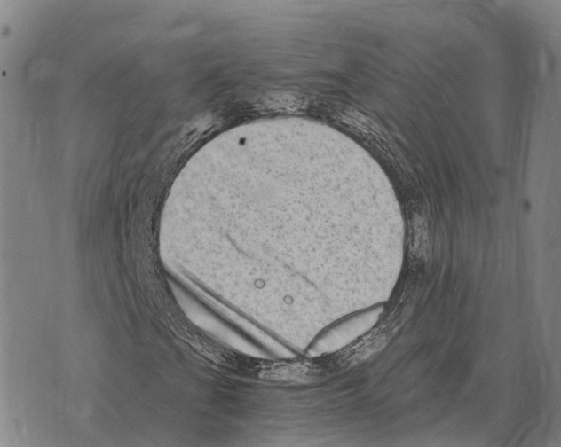 X0000073721201200608311811