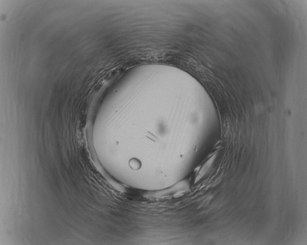 X0000073721202200608311811